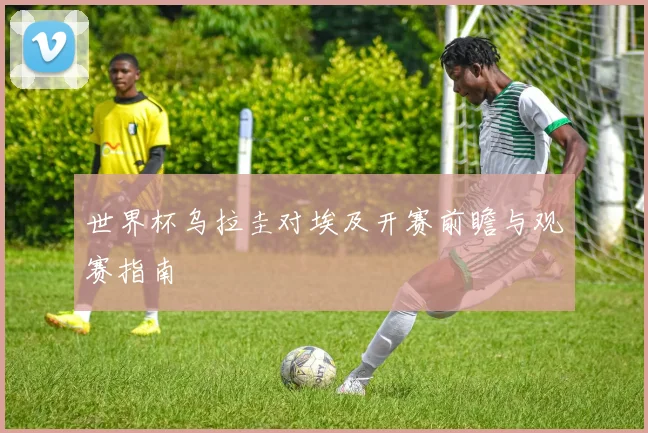 世界杯乌拉圭对埃及开赛前瞻与观赛指南
